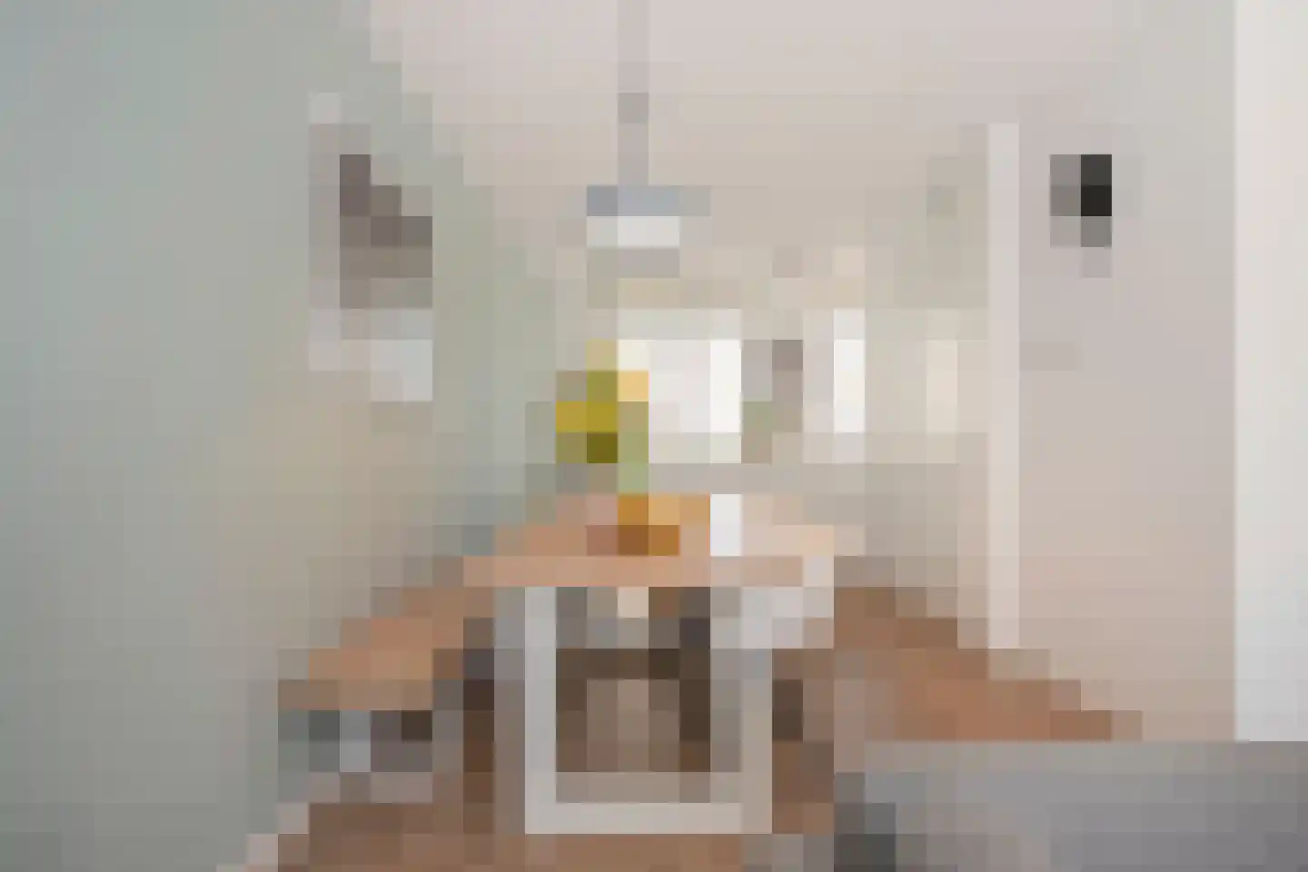 De Gronckelstraat 4 D Limbricht thumbnail 21