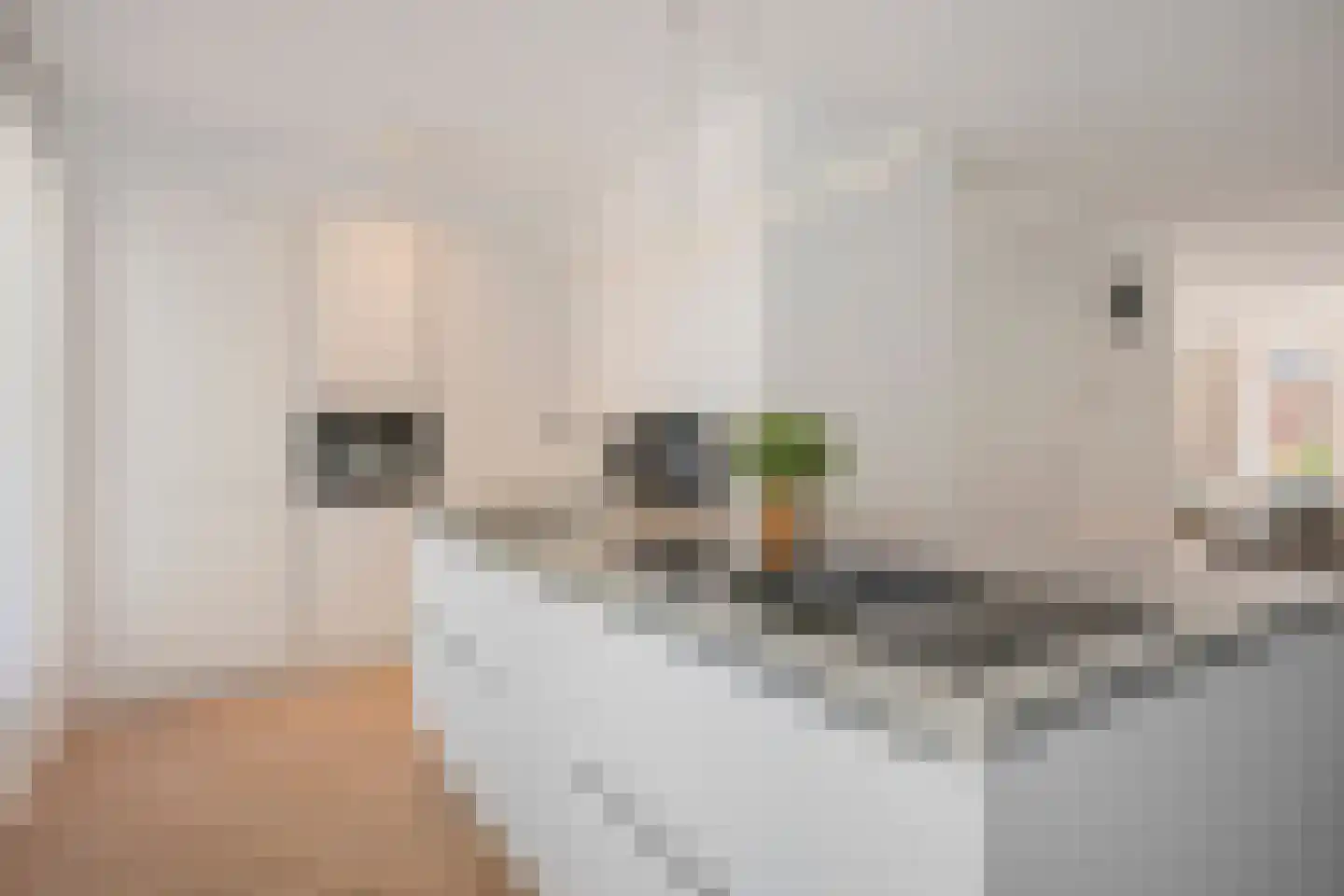 De Gronckelstraat 4 D Limbricht foto 3