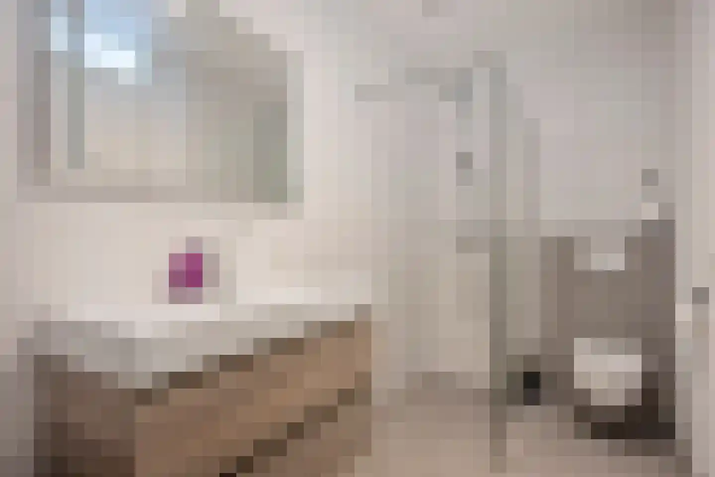 De Gronckelstraat 4 D Limbricht thumbnail 4