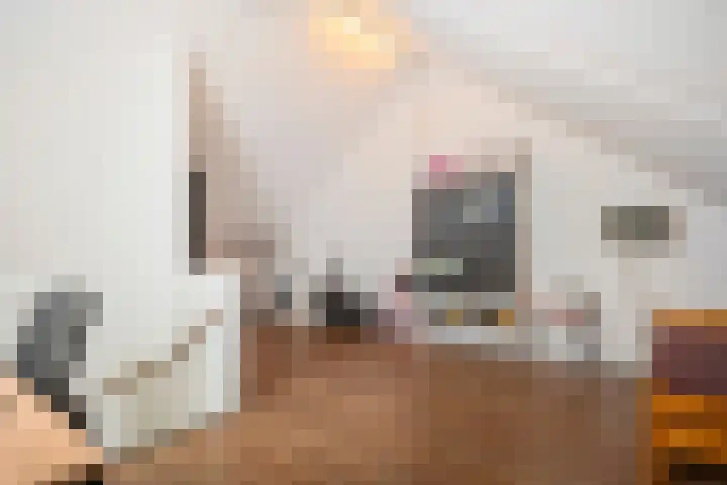 De Gronckelstraat 4 D Limbricht thumbnail 40
