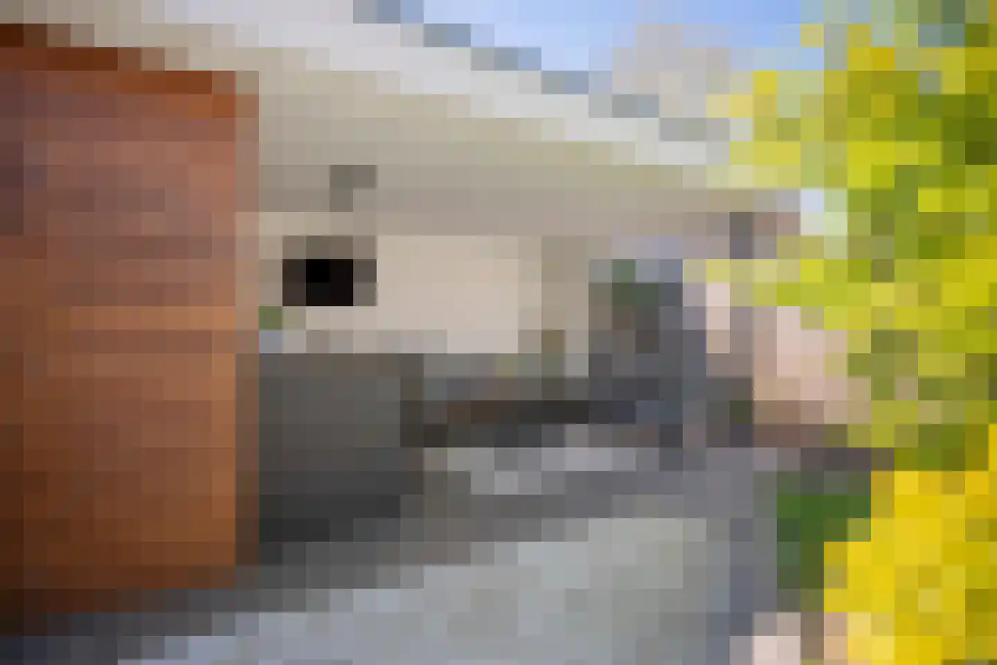 De Gronckelstraat 4 D Limbricht thumbnail 5