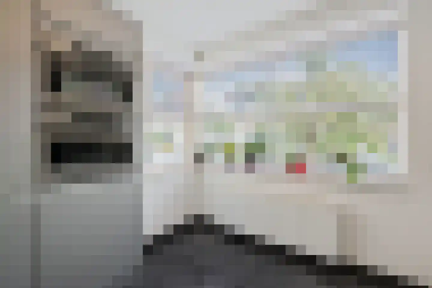 De Gronzen 28 Leeuwarden thumbnail 22