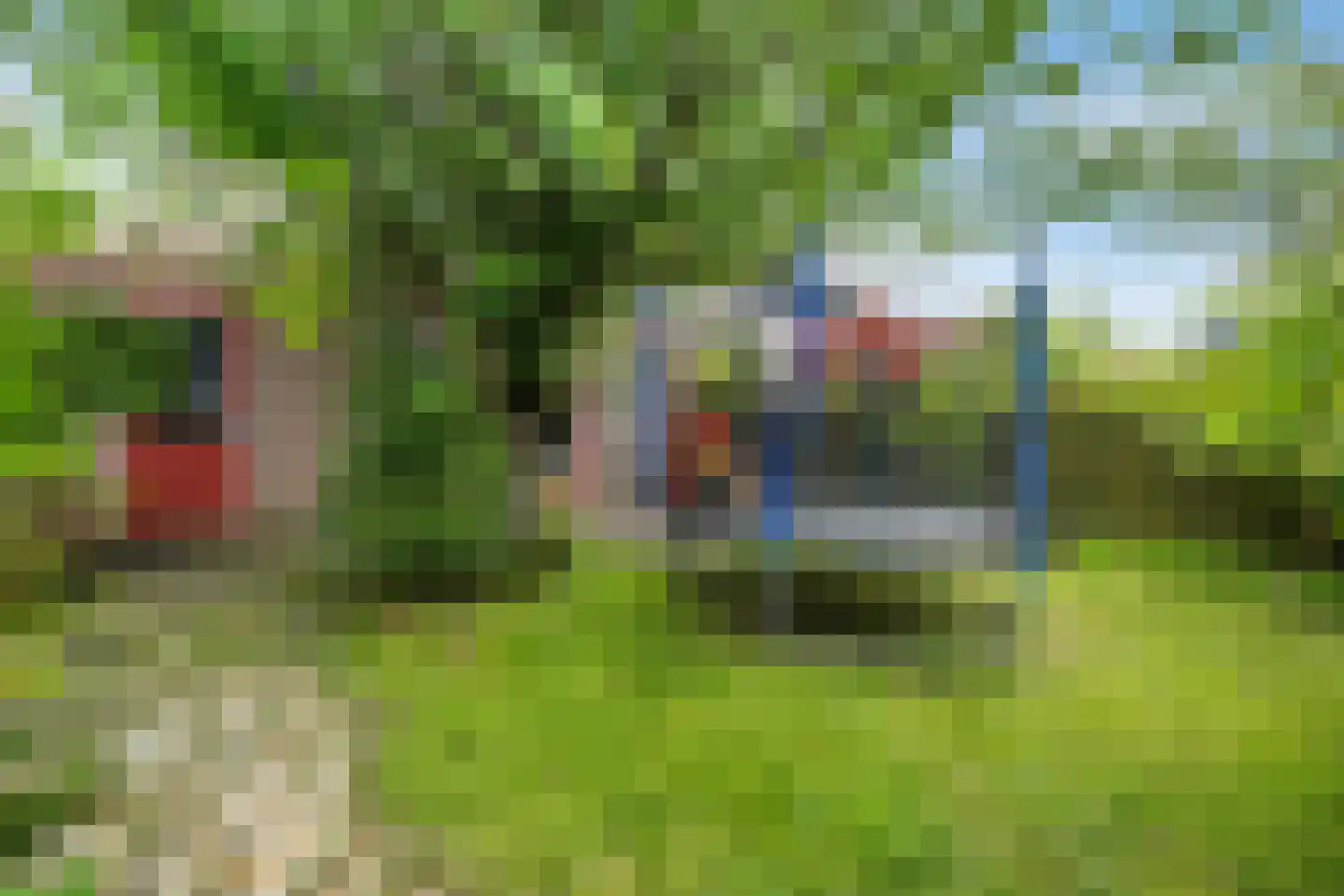 De Gronzen 28 Leeuwarden thumbnail 37
