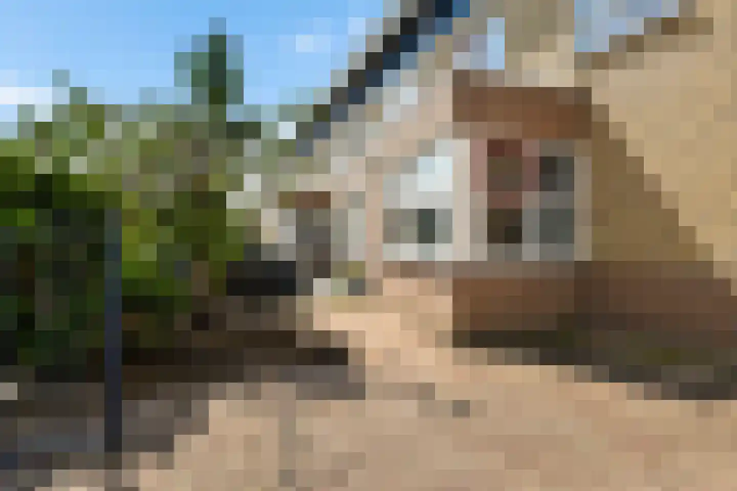 De Gronzen 28 Leeuwarden thumbnail 6