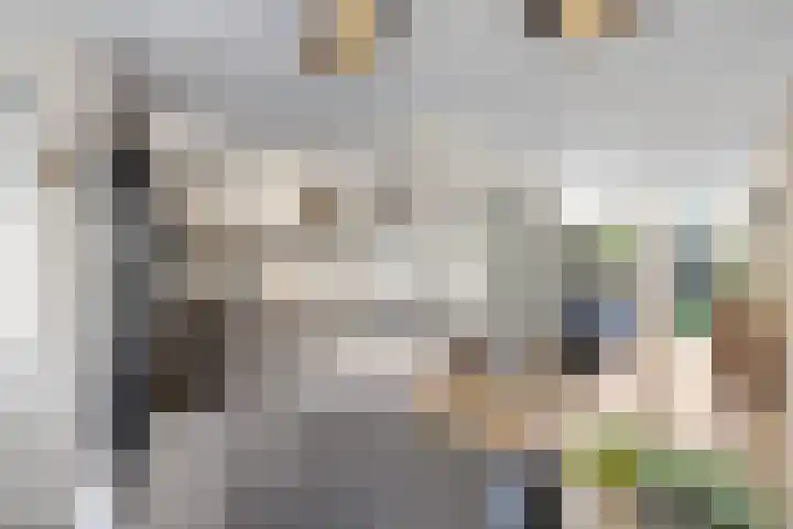 De Gronzen 31 Leeuwarden thumbnail 13