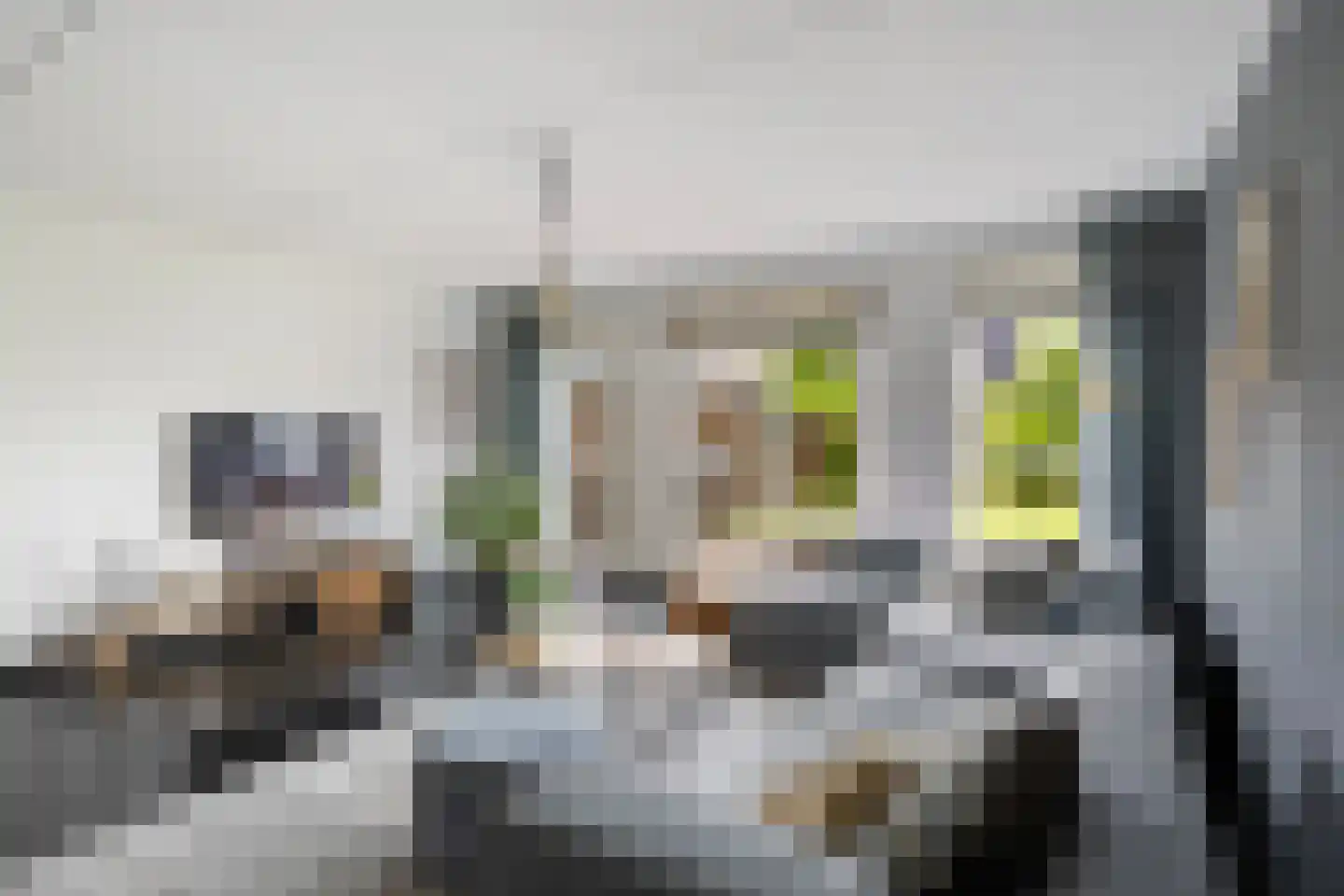 De Gronzen 45 Leeuwarden thumbnail 16