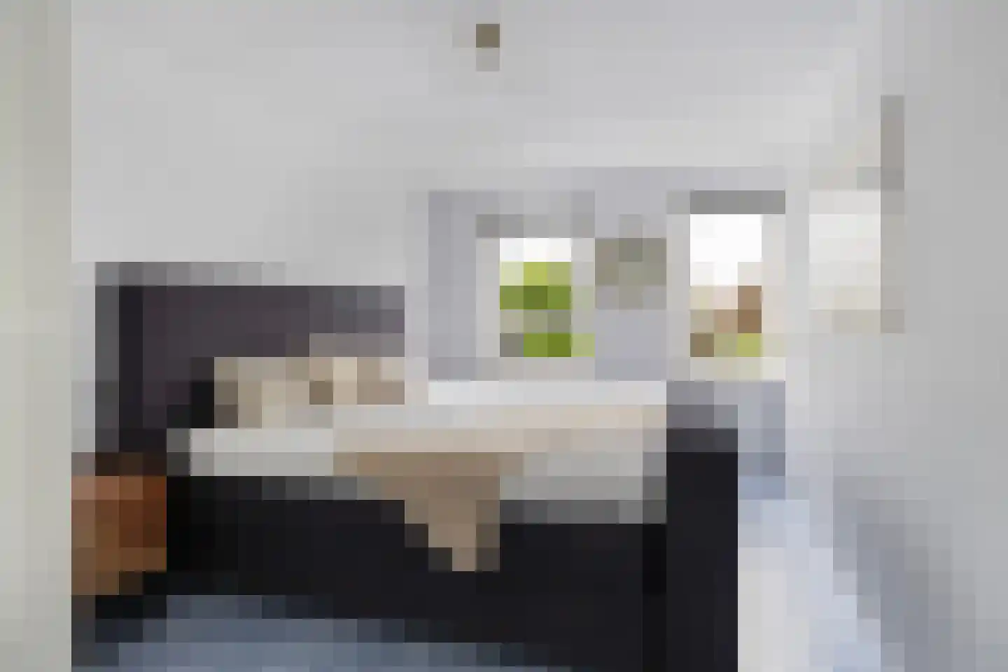 De Gronzen 45 Leeuwarden thumbnail 4