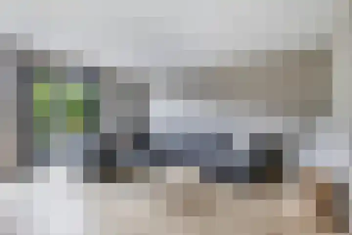 De Gronzen 8 Leeuwarden thumbnail 10