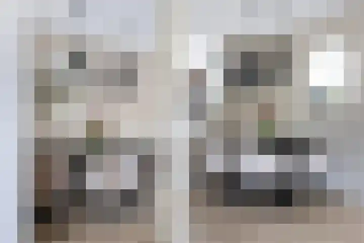 De Gronzen 8 Leeuwarden thumbnail 12