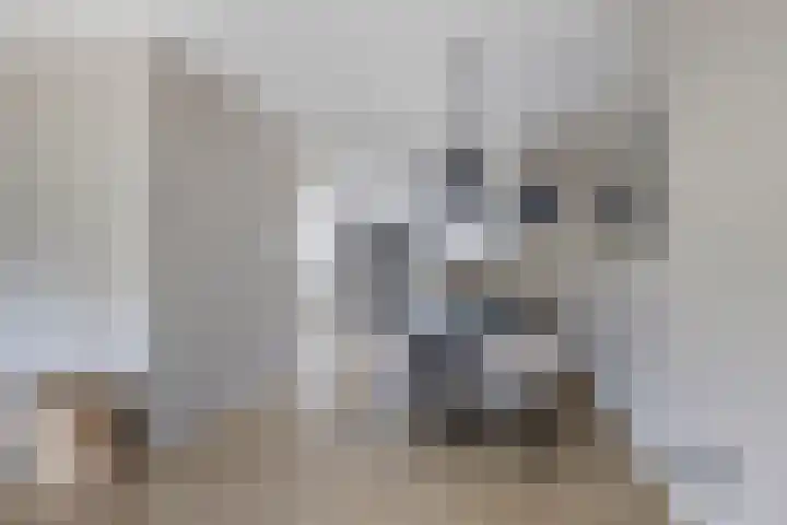 De Gronzen 8 Leeuwarden thumbnail 14