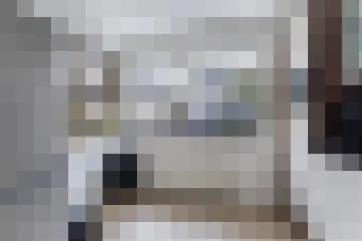 De Gronzen 8 Leeuwarden thumbnail 17