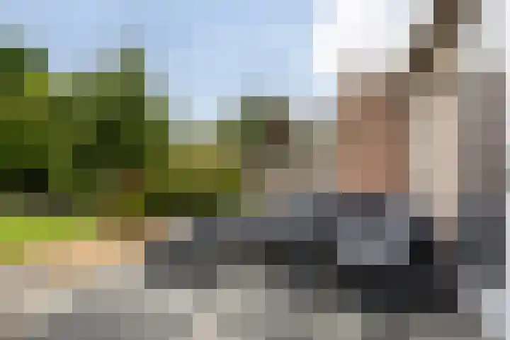 De Gronzen 8 Leeuwarden thumbnail 19