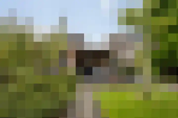 De Gronzen 8 Leeuwarden thumbnail 21