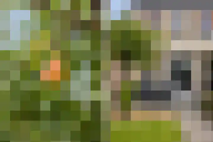 De Gronzen 8 Leeuwarden thumbnail 22