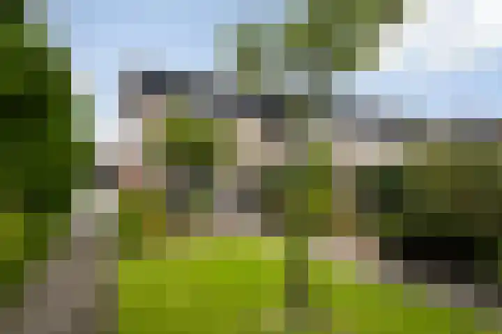 De Gronzen 8 Leeuwarden thumbnail 24