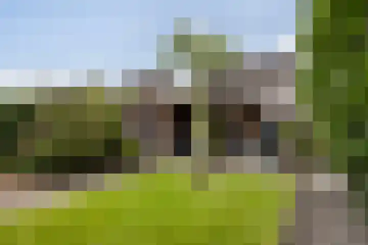 De Gronzen 8 Leeuwarden thumbnail 25