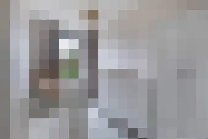 De Gronzen 8 Leeuwarden thumbnail 33