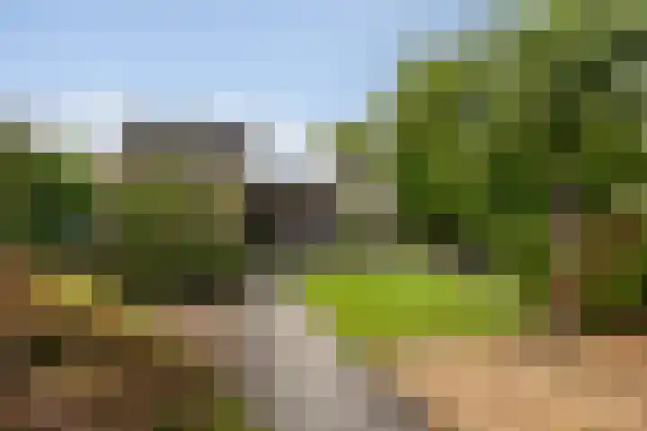De Gronzen 8 Leeuwarden thumbnail 4