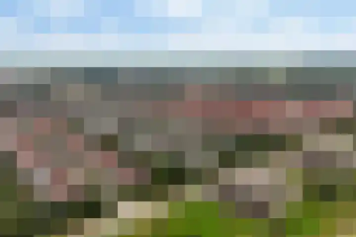 De Gronzen 8 Leeuwarden thumbnail 42