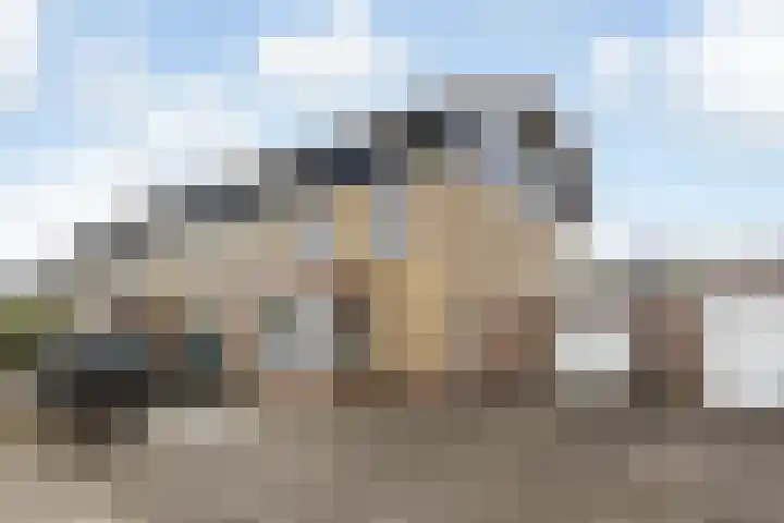 De Gronzen 8 Leeuwarden thumbnail 43