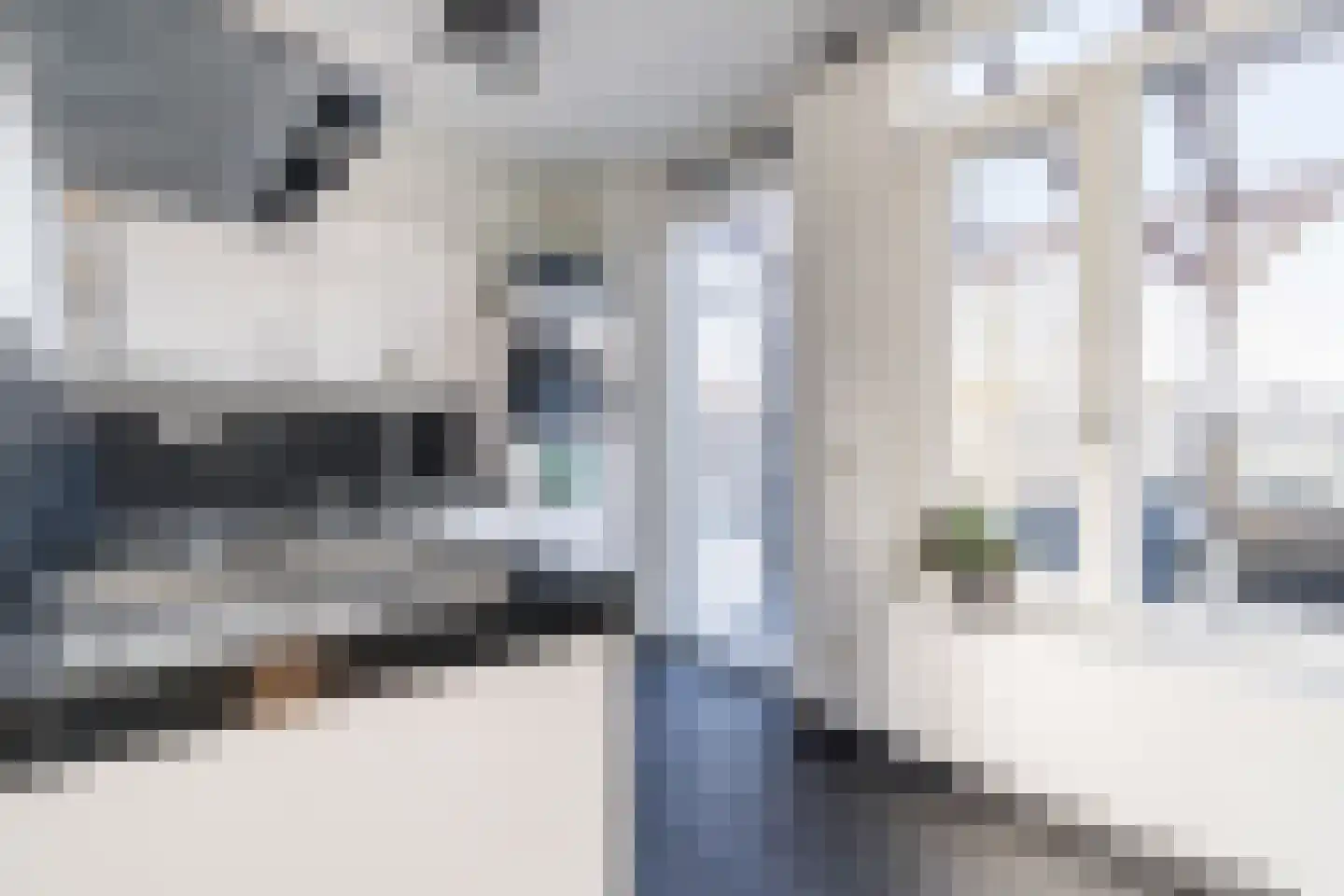 De Groos 1 Ell thumbnail 11