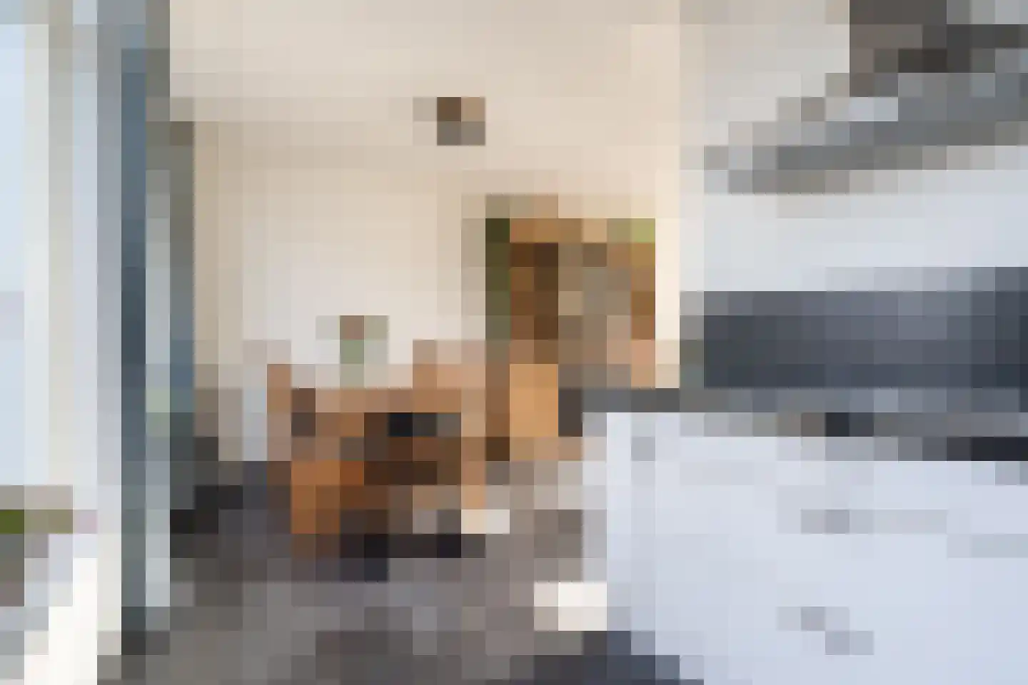 De Groos 1 Ell thumbnail 12