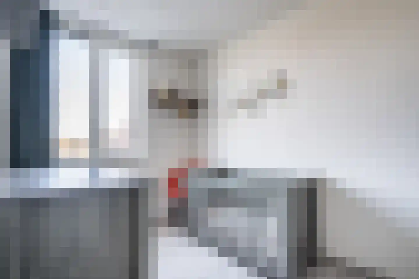 De Groos 1 Ell thumbnail 17