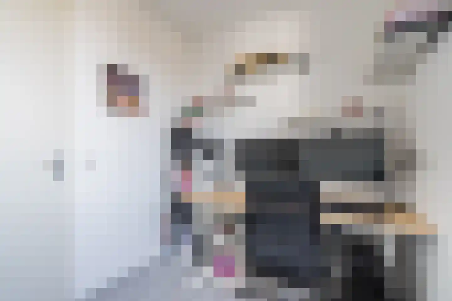 De Groos 1 Ell thumbnail 30