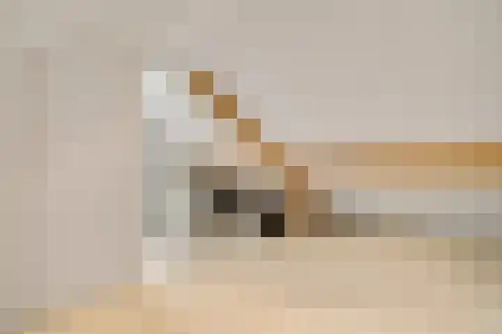 De Groos 25 Ell thumbnail 16