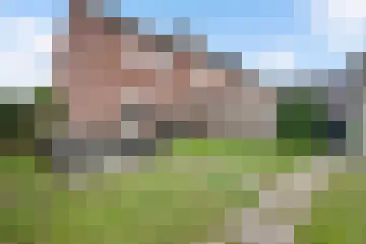 De Groos 25 Ell thumbnail 17