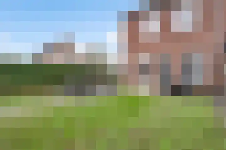 De Groos 25 Ell thumbnail 18
