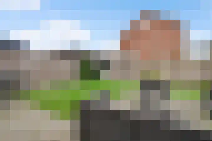 De Groos 25 Ell thumbnail 19