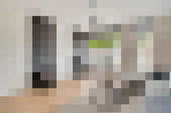 De Groos 25 Ell thumbnail 4