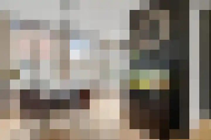 De Groos 25 Ell thumbnail 5