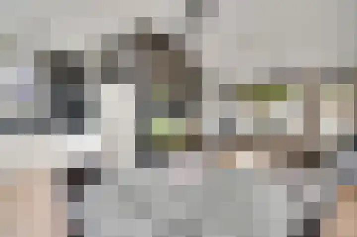 De Groos 25 Ell thumbnail 6