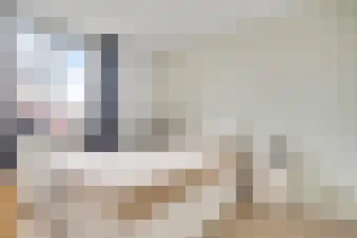De Groos 25 Ell thumbnail 9