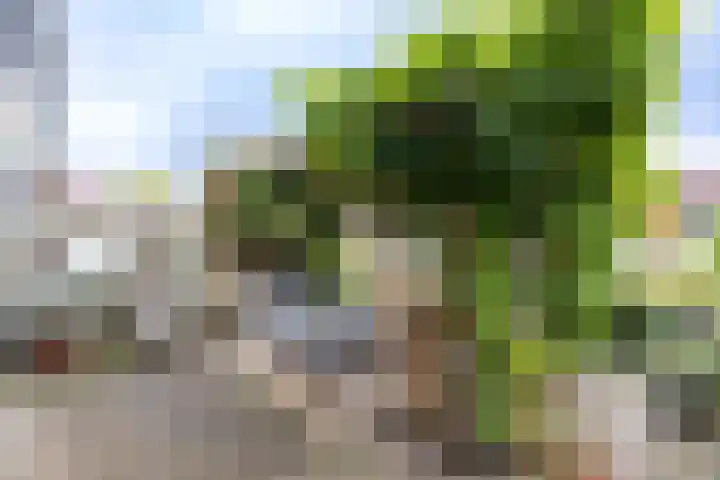 de Groot van Embdenstraat 13 Doetinchem thumbnail 12