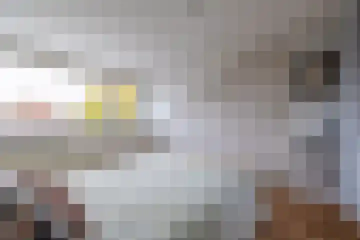 de Groot van Embdenstraat 13 Doetinchem thumbnail 37
