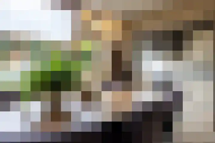 de Groot van Embdenstraat 13 Doetinchem thumbnail 8