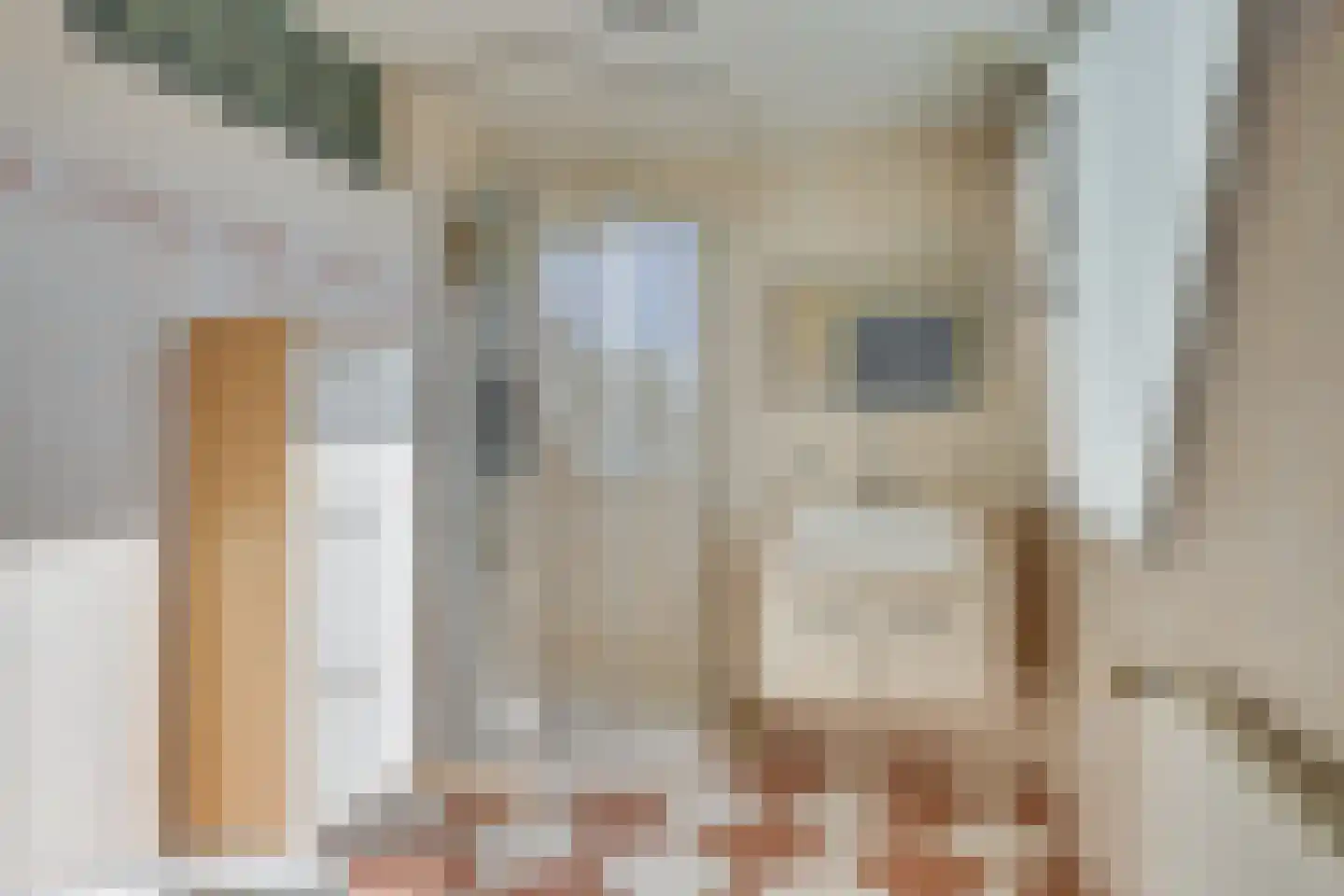 de Groote Aa 2 Heeze thumbnail 37