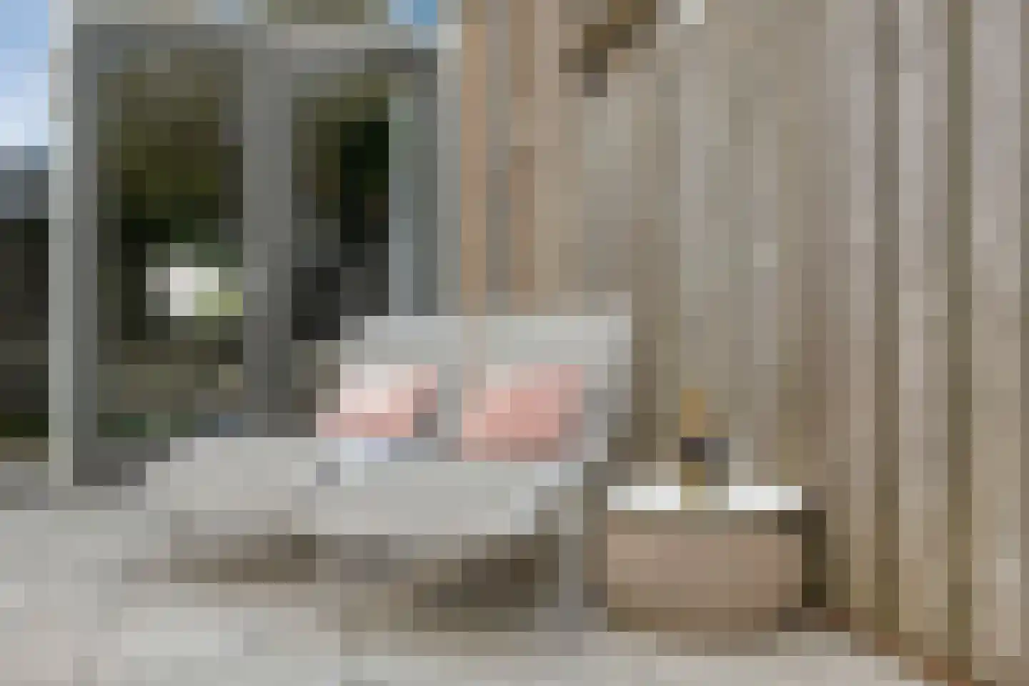 De Groote Rede 132 Rosmalen thumbnail 36