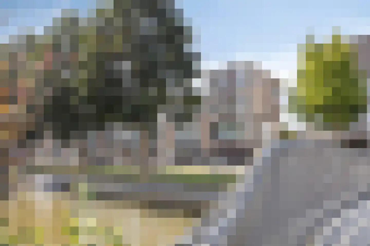 De Groote Rede 132 Rosmalen thumbnail 40