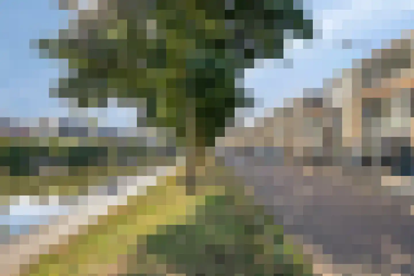 De Groote Rede 132 Rosmalen thumbnail 41