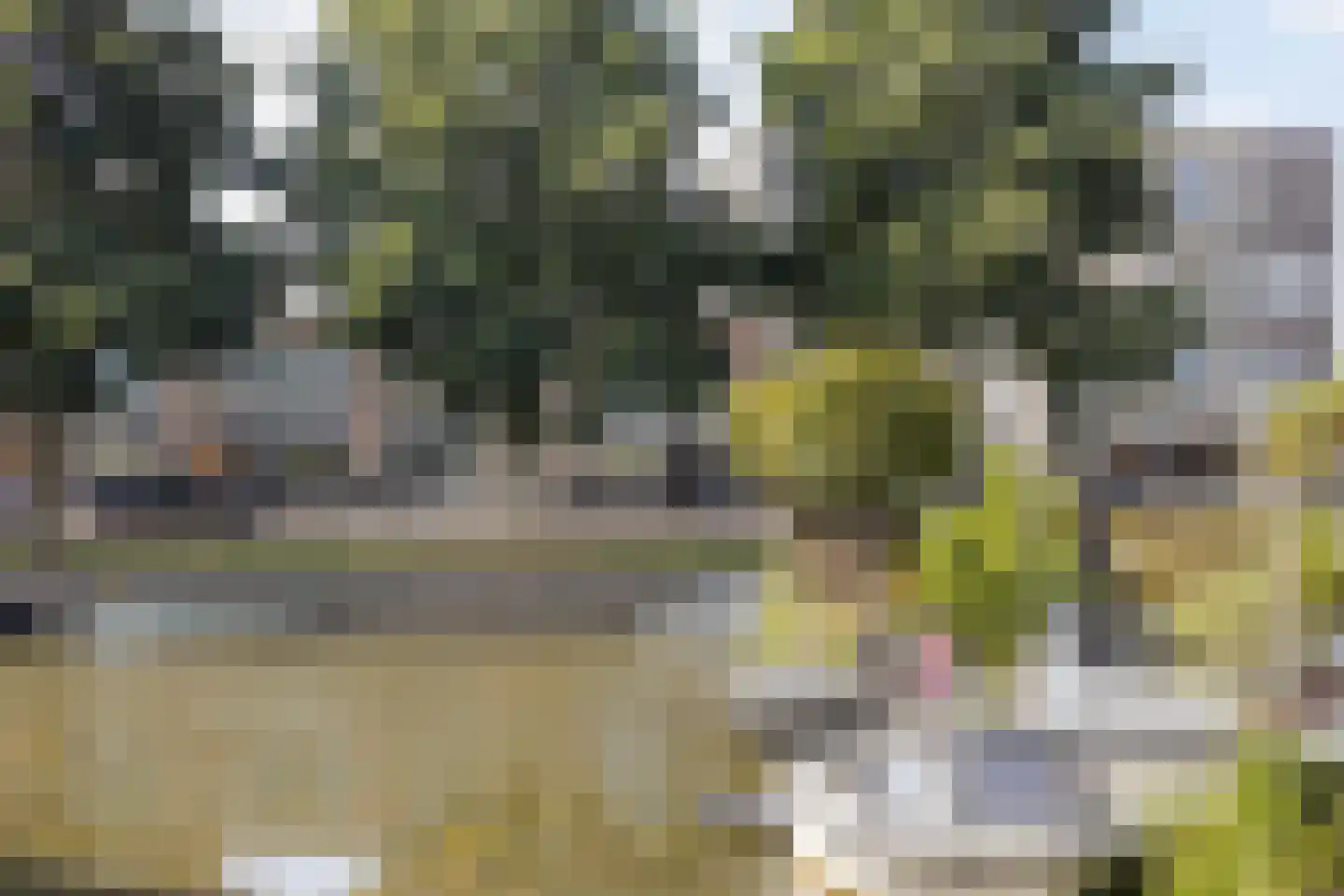 De Groote Rede 132 Rosmalen thumbnail 45