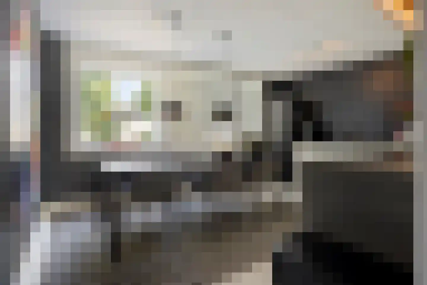 De Groote Rede 64 Rosmalen thumbnail 10