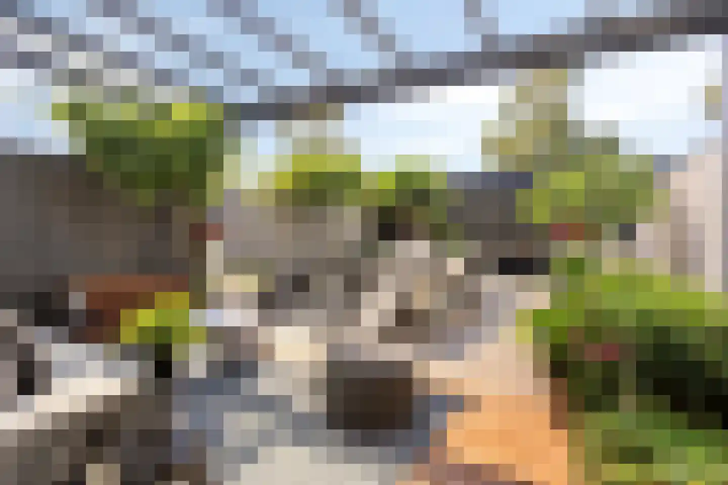 De Groote Rede 64 Rosmalen thumbnail 22