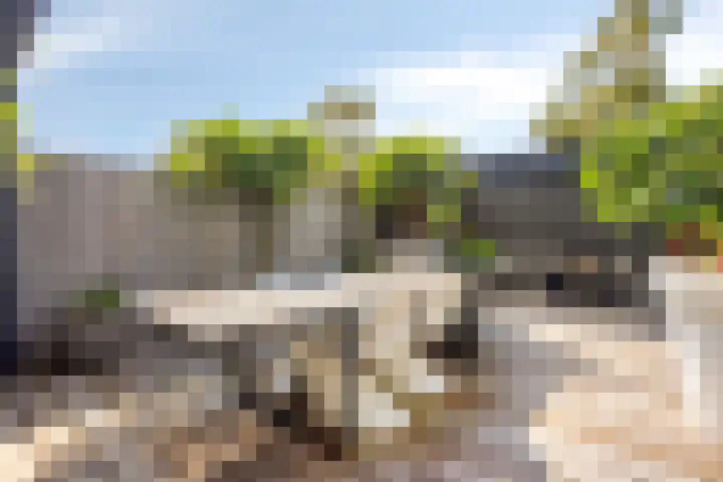 De Groote Rede 64 Rosmalen thumbnail 24