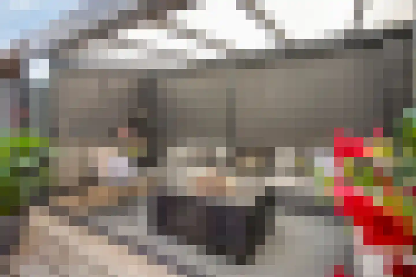 De Groote Rede 64 Rosmalen thumbnail 27