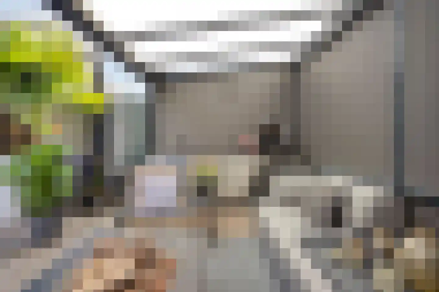 De Groote Rede 64 Rosmalen thumbnail 28