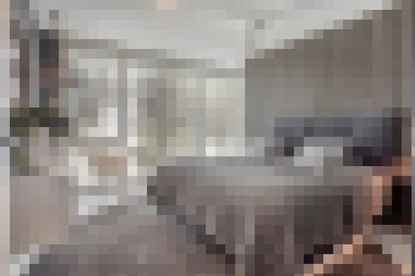 De Groote Rede 64 Rosmalen thumbnail 34